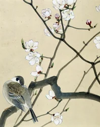 Vogel - Japanische Zeichnung von Riou Chim