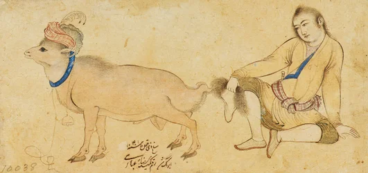 Studie eines jungen Mannes und eines Widders, 1630-31 oder später
