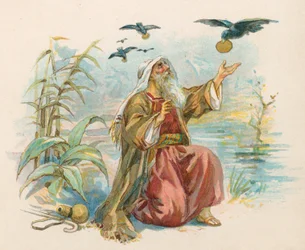 Elia und die Raben
