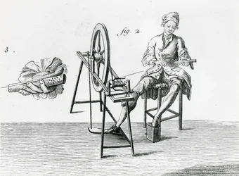 Ländliche Wirtschaft, Baumwolle, aus der Enzyklopädie von Denis Diderot 1713-84