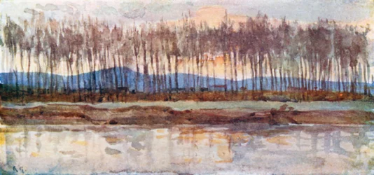 Ufer des Arno im Abendglühen