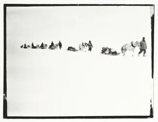 Ponys auf dem Marsch, Große Eisbarriere, 2. Dezember