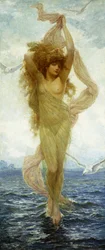 Die Geburt der Venus