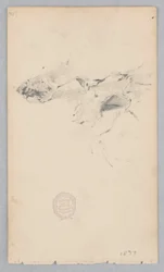 Tigermuster-Teppich