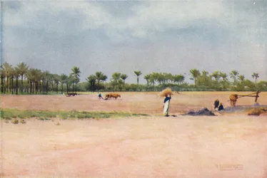Esbet-El-Ekiad - Land von Goshen, ca. 1880, 1904