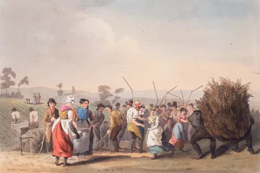 Rapsdreschen, 1. November 1813