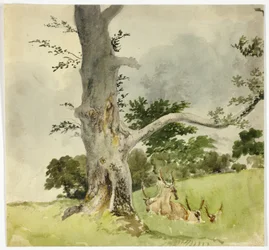 Familie von Hirschen unter einem Baum