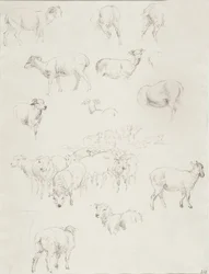 Schafherde, nach 1794