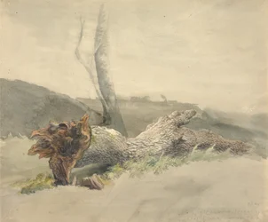 Der gefallene Baum