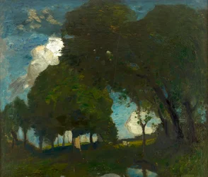 Waldlandschaft im Mondlicht