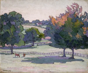 Ahornbäume in Cuckfield, Sussex