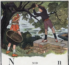 Kinderbuch „Ich werde lesen - Methodisches und lustiges Alphabet von einem Vater“ 1926. Illustration von Robert Salles (1871-1929). Abecedarium: Buchstabe N wie Nest. Ein Junge nimmt ein Nest von einem Baum