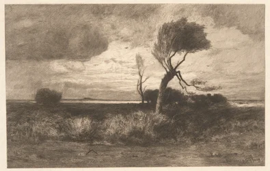 In der Nähe der Küste
