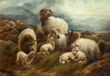 Schafe in einer Landschaft, 1894