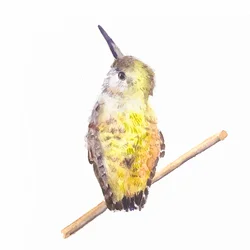 Annas Jungvogel