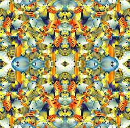 Kaleidoskop-Fischfliese