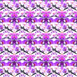 Lila Orchideenwiederholung