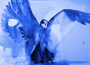 Blauer Taubenflug