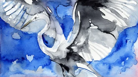 Blauer Reiher im Flug