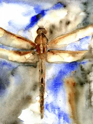Blaue Aquarell-Libelle