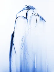 Fließender blauer Reiher