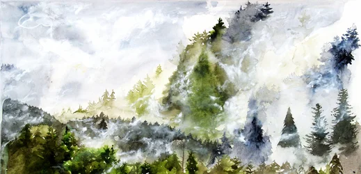 Nebliger Bergwald
