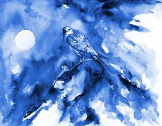 Mondbeschienener blauer Falke