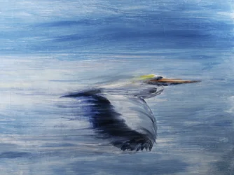 Gelassener Vogelflug