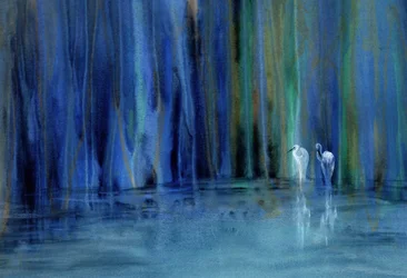 Serener Blauer Waldreiher