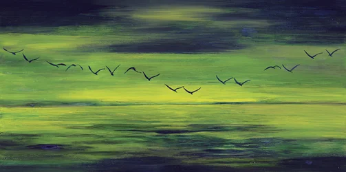 Serener grüner Flug