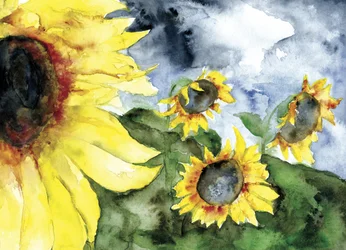 Sonnenblumen stürmischer Himmel