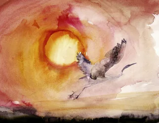 Lebhafter Vogel Sonnenuntergang