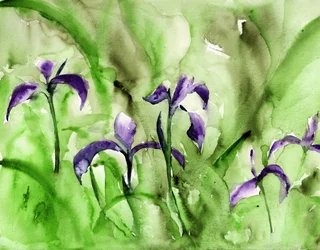 Lebhafter Irisgarten