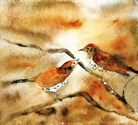Aquarellvögel auf Zweig