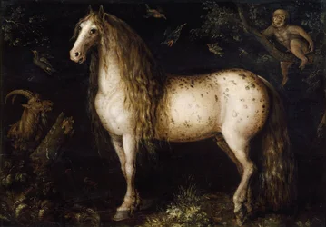Der Apfelschimmel, ca. 1625-1630