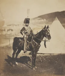 Cornet Henry John Wilkin, 11. (oder Prince Albert