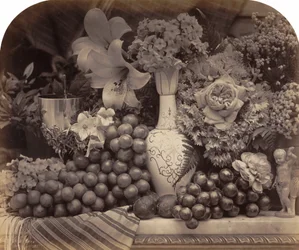 Obst und Blumen