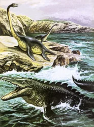 Plesiosaurus (oben) und Tylosaurus (unten)