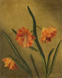 Studie von Blumen