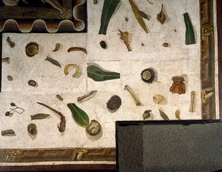 „Asarotos“ (Boden ungesäubert) Fragmente eines Mosaiks, signiert von Harakliton aus Rom, 2. Jahrhundert n. Chr.
