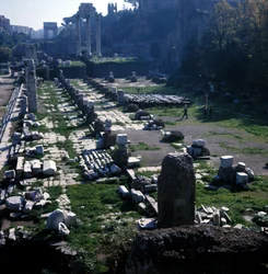 Ort, an dem die Basilica Giulia von Caesar um 54 v. Chr. begonnen und von Augustus (Octavian) (63 v. Chr. - 14 n. Chr.) vollendet wurde - Forum Romanum, Rom.