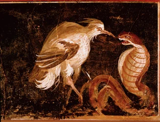 Römische Kunst: „Kampf zwischen einem Reiher und einer Kobra“ Römisches Fresko aus dem Haus der Epigramme, Pompeji, Italien (Kampf zwischen einem Reiher und einer Kobra, Fresko aus der Casa degli Epigrammi, Pompeji) 60-80 n. Chr.