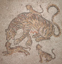 Tigerin und Junge, 300er Jahre