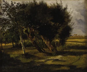 Baumsträuße auf der Wiese
