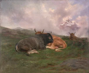Ruhende Rinder auf einem Hügel in den Alpen