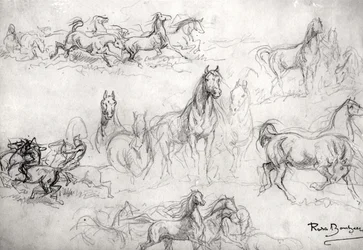 Studie von Pferden