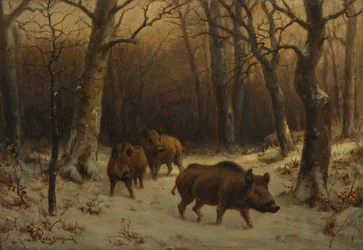 Wildschweine im Schnee, ca. 1872-1877