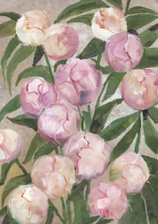 Rosa Pfingstrosenknospen