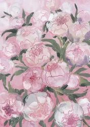 Zarte rosa Pfingstrosen