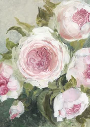 Weiche rosa Rosen